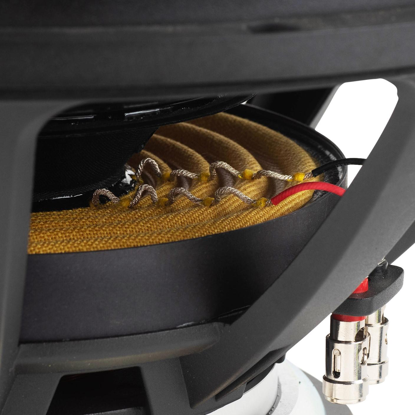 SS15-22 Signature Subwoofer - Dual Spiders and Tinsel Leads Detail